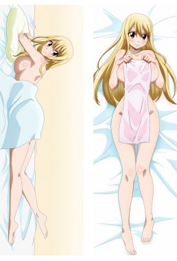 Fairy Tail Lucy Heartfilia Anime Dakimakura Pillow Supplier