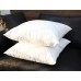 Comfortable Plain Inner Insert Cushion Throw Pillow 45*45cm,40*60cm,40*70cm