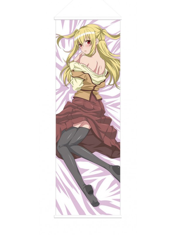Mariya Shidou Maria Holic Male Anime Wall Poster Banner Japanese Art