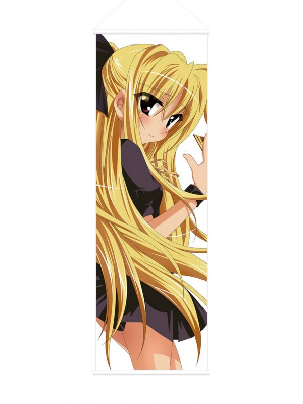 Nanoha Takamachi and Fate Testarossa Magical Girl Lyrical Nanoha Anime Wall Poster Banner Japanese Art