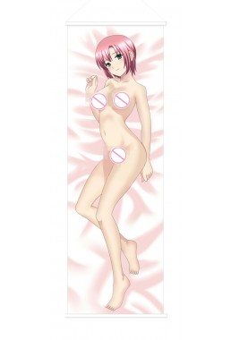 Rio Rainbow Gate Japanese Anime Painting Home Decor Wall Scroll Posters